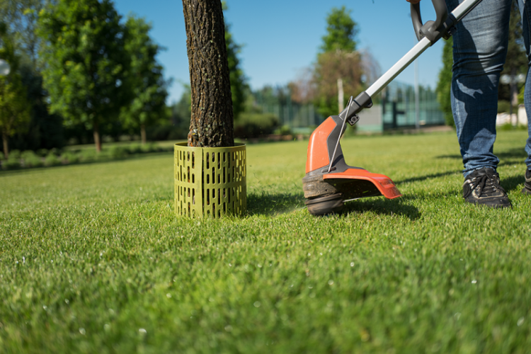 Osłona ochronna TreeSave do pni drzew