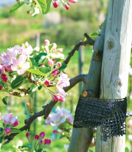 Taśma ogrodnicza 3cm x 50m