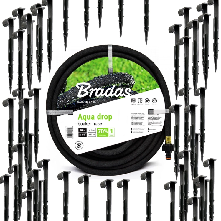 BRA-ZEST9.jpg