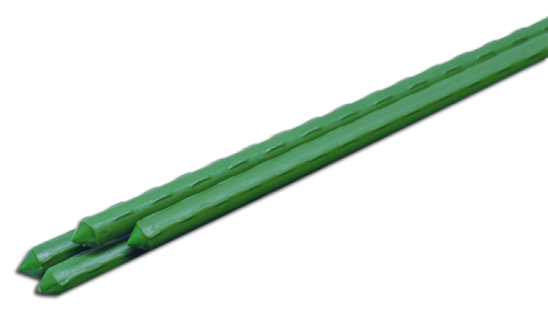 1258257.png