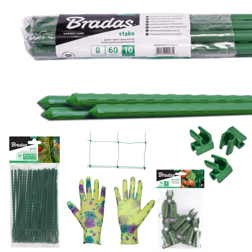 BRA-ZEST18.jpg