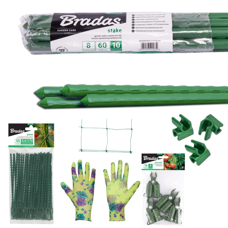 BRA-ZEST18.jpg