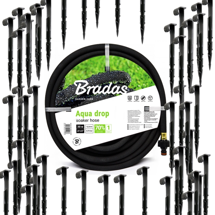 BRA-ZEST9.jpg