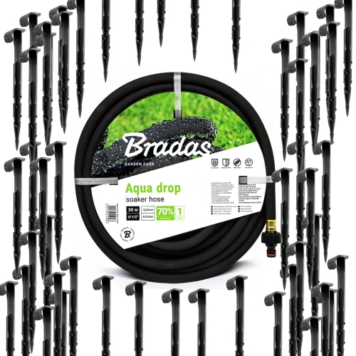 BRA-ZEST9.jpg